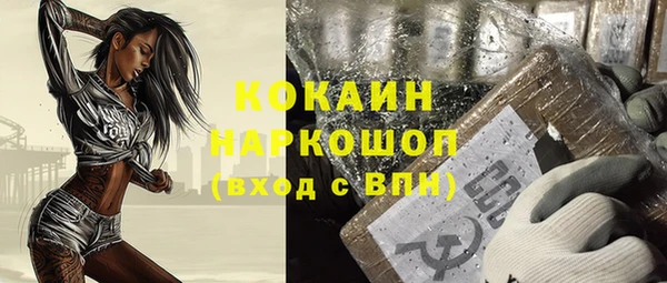шишки Абинск