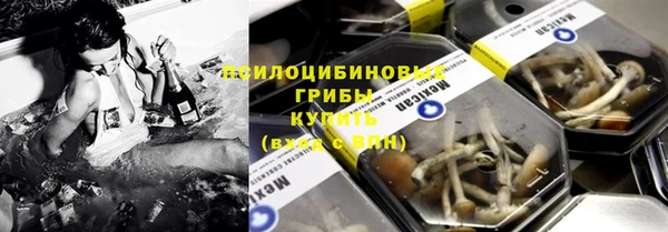 шишки Абинск